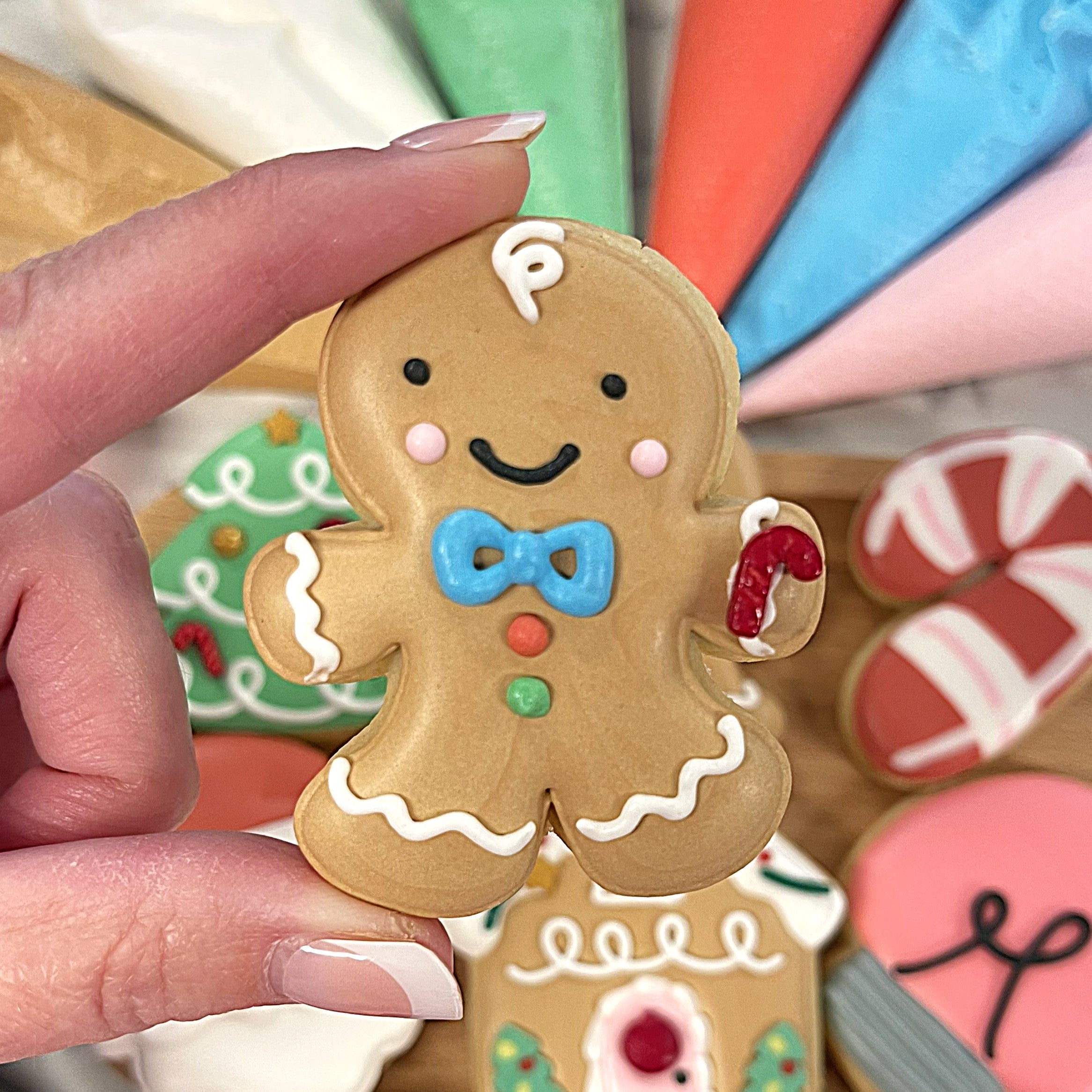 Mini Cute Christmas Cookie Decorating Kit