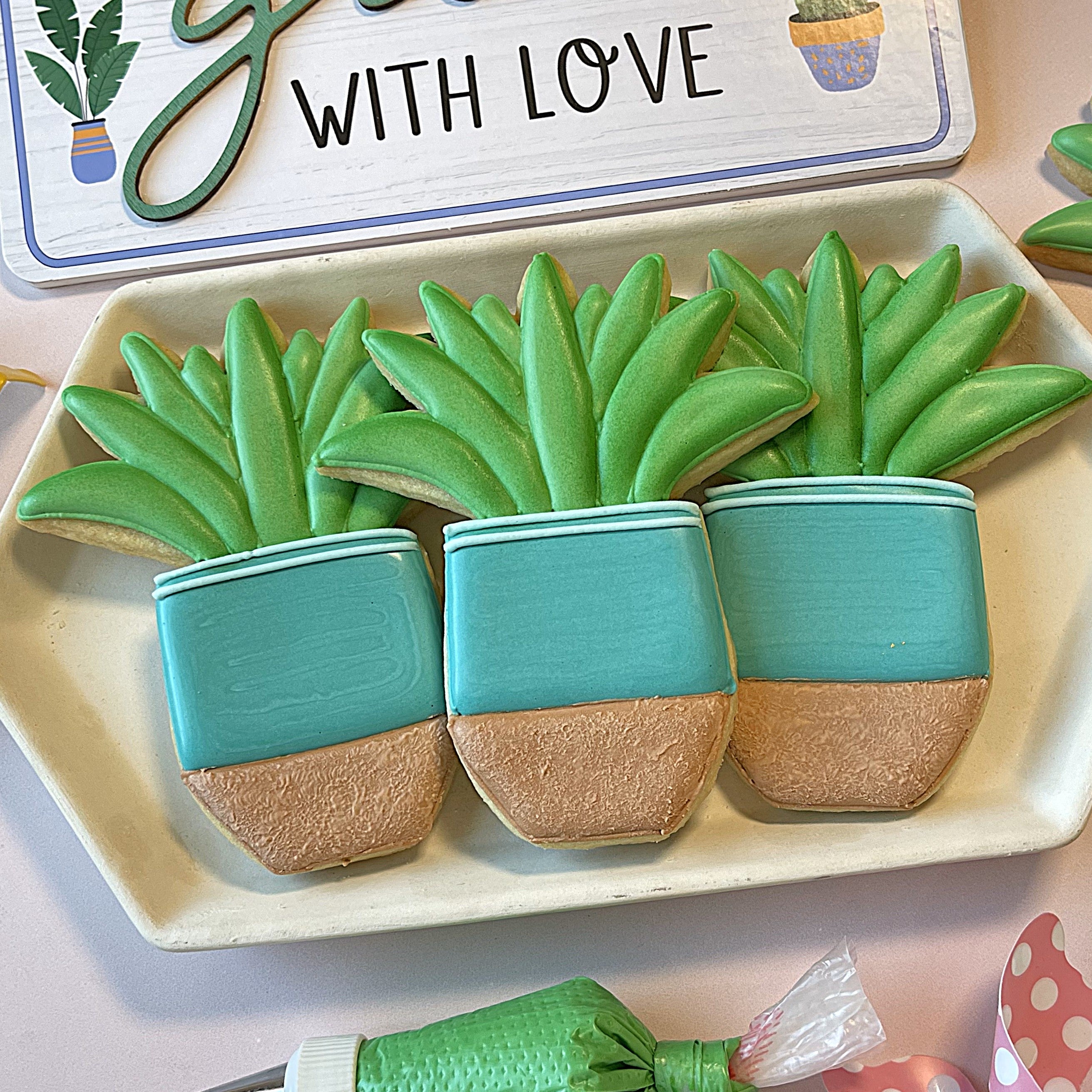snake plant in square pot Potted Snake Plant Cookie Cutter – The Flour Box