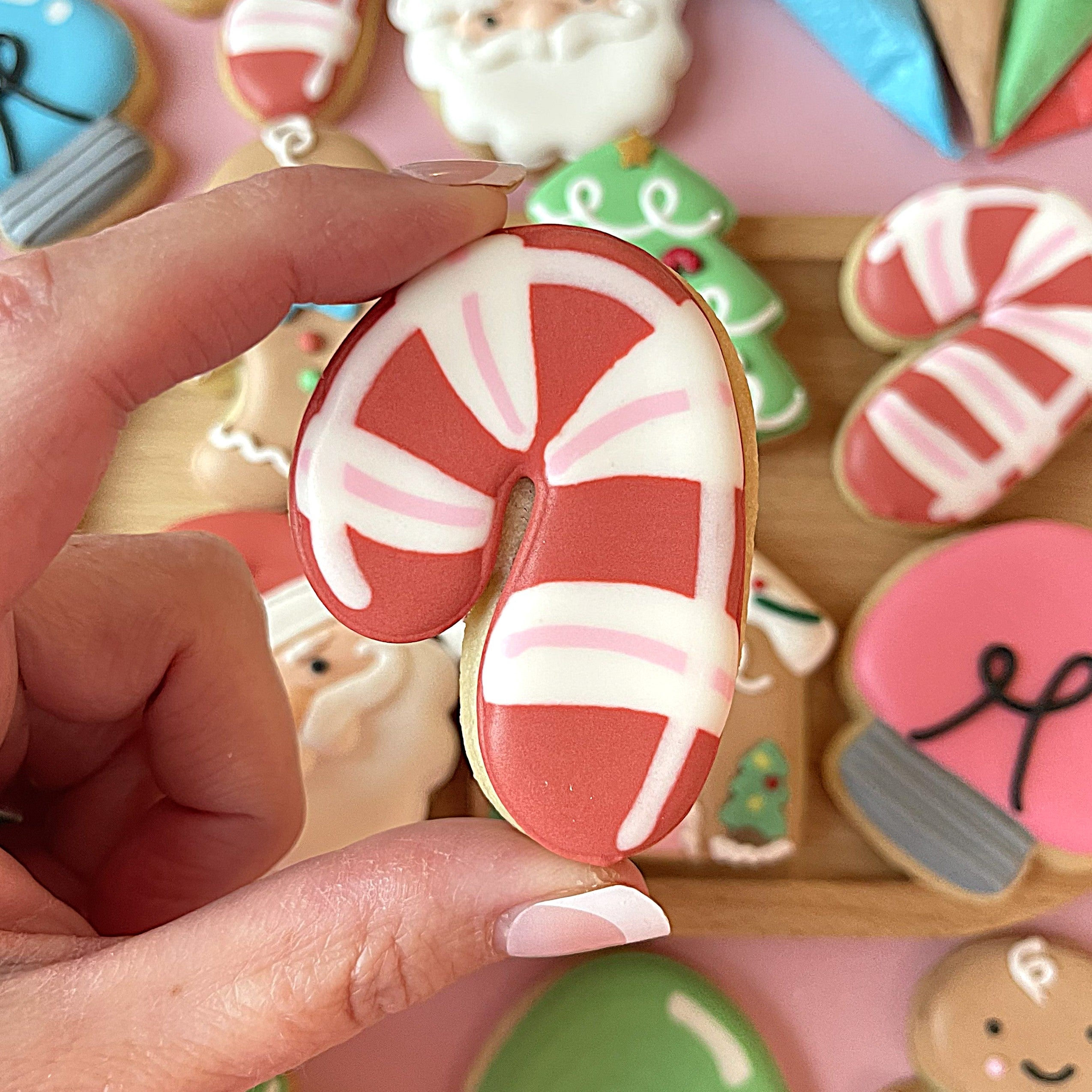Mini Cute Christmas Cookie Decorating Kit