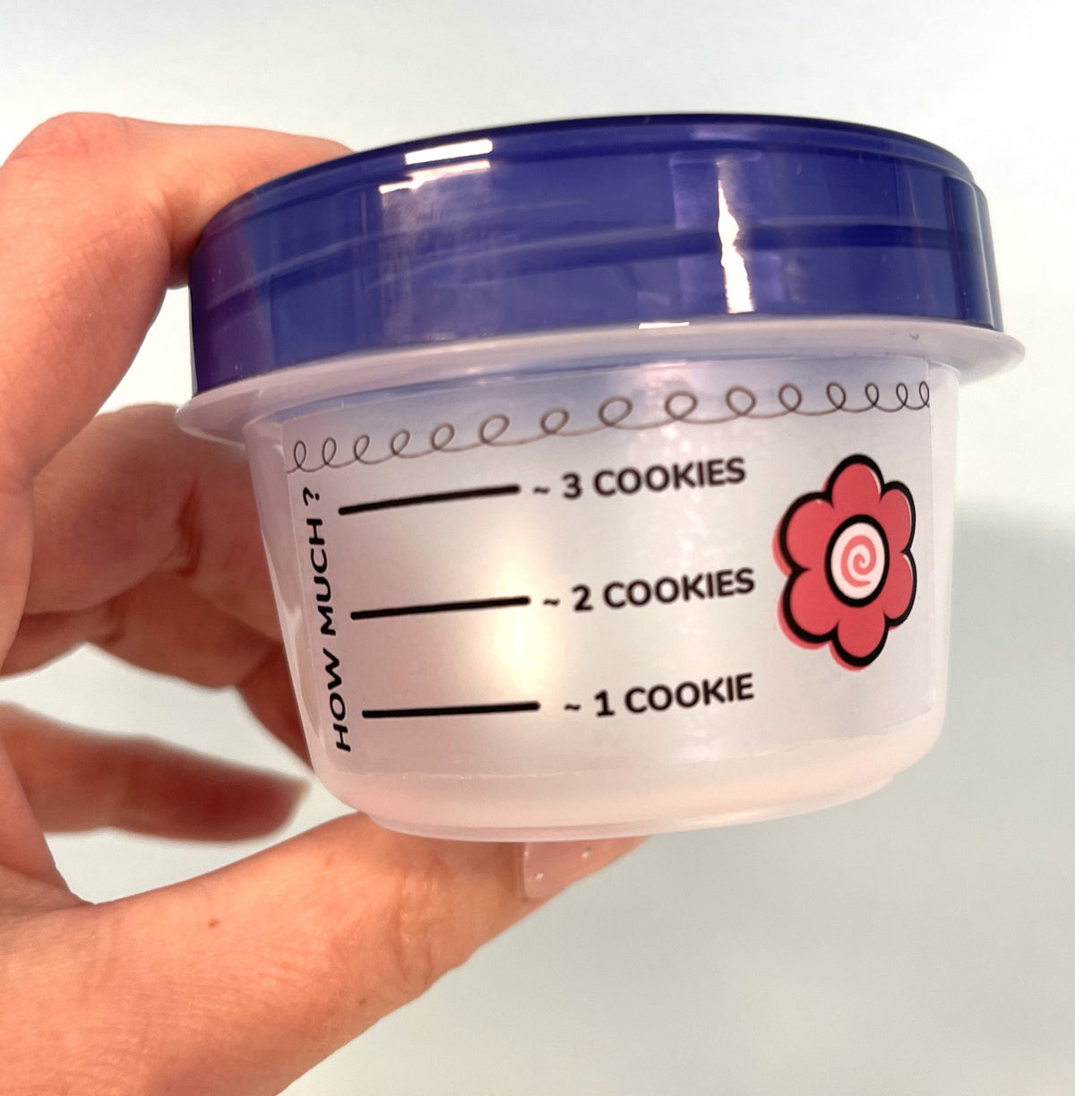 Small clear plastic flour box icing storage container with blue lid red flower and cookie measurement markings