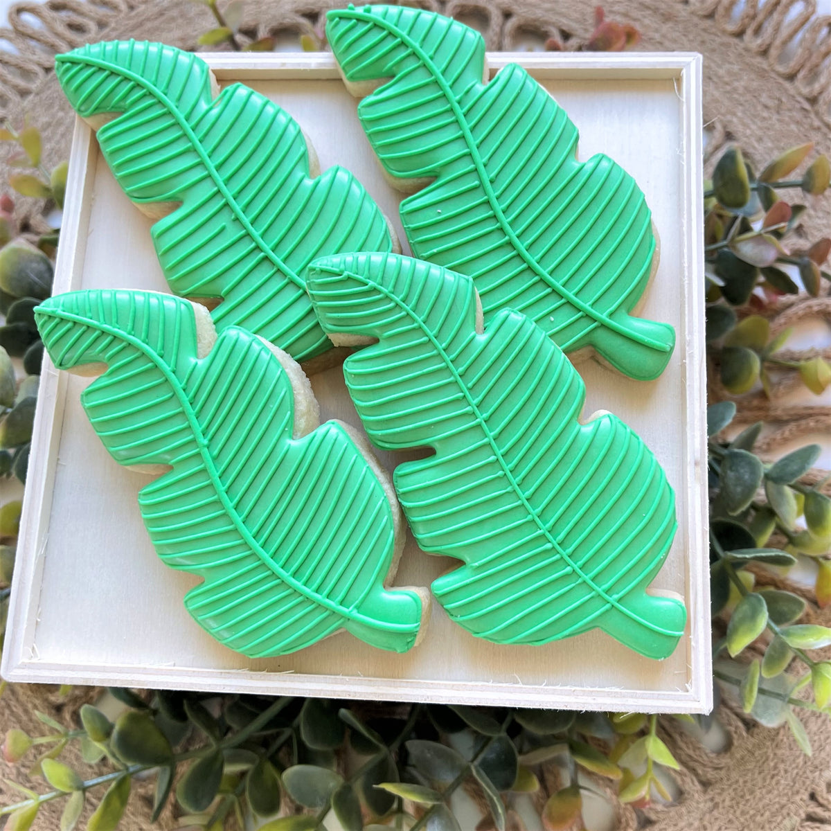 Vibrant green frosted banana leaf shaped cookies neatly arranged in a white box made with palm branch cookie cutter