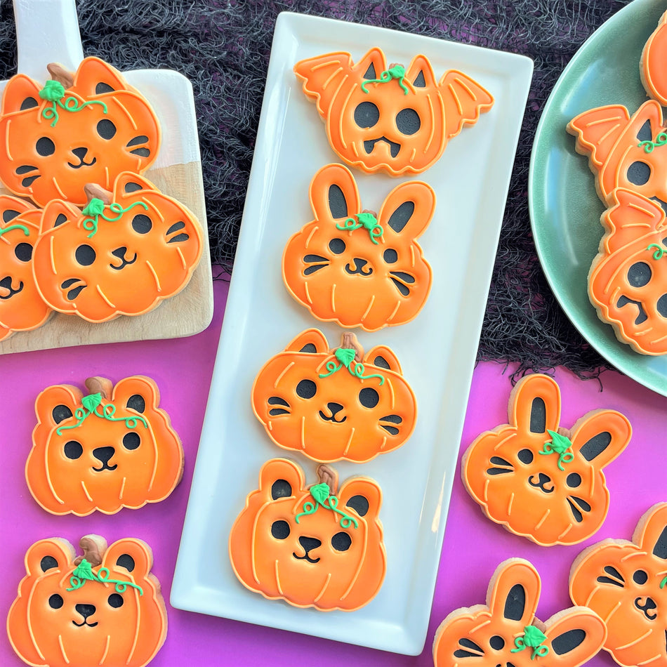 Pumpkin Animal Faces 2 pc Stencil