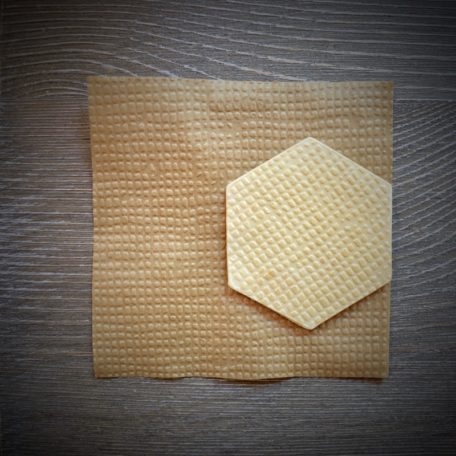 Reptile 3D Parchment Texture Sheets by Intricut Edibles