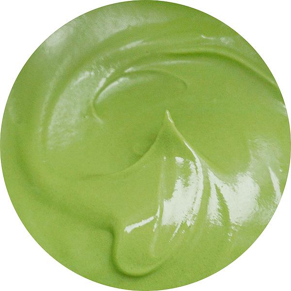 Succulent Green 2 oz Cookie Countess Gel Food Color