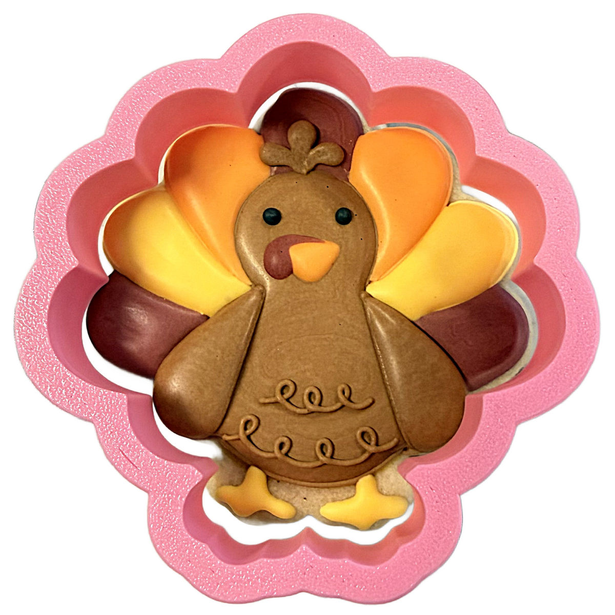 Collection feature image