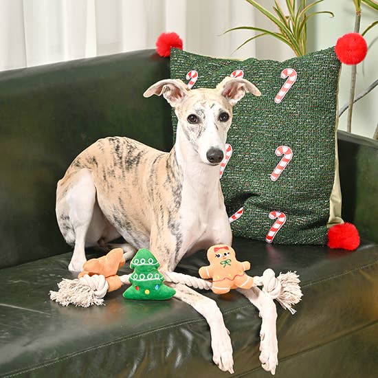 Holiday Gingerbread Man and Tree Rope Pet Squeaky Toy