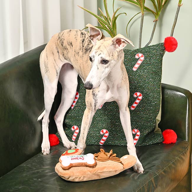 Cookie Board - Plush Squeaky Dog Toy 3pc