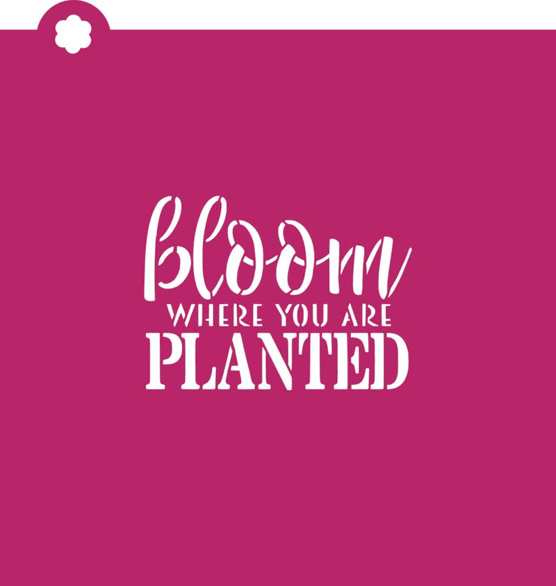 Bloom Where You Are Planted Flour Box Stencil
