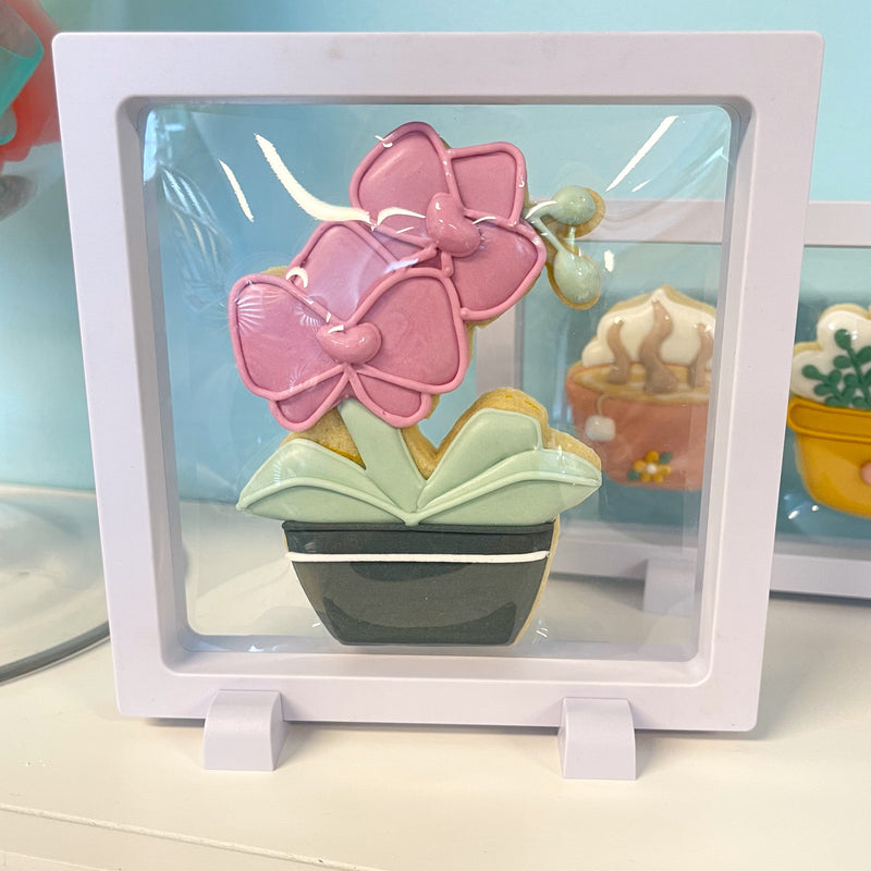 Cookie Display Classic Square Frame 5 1/2"