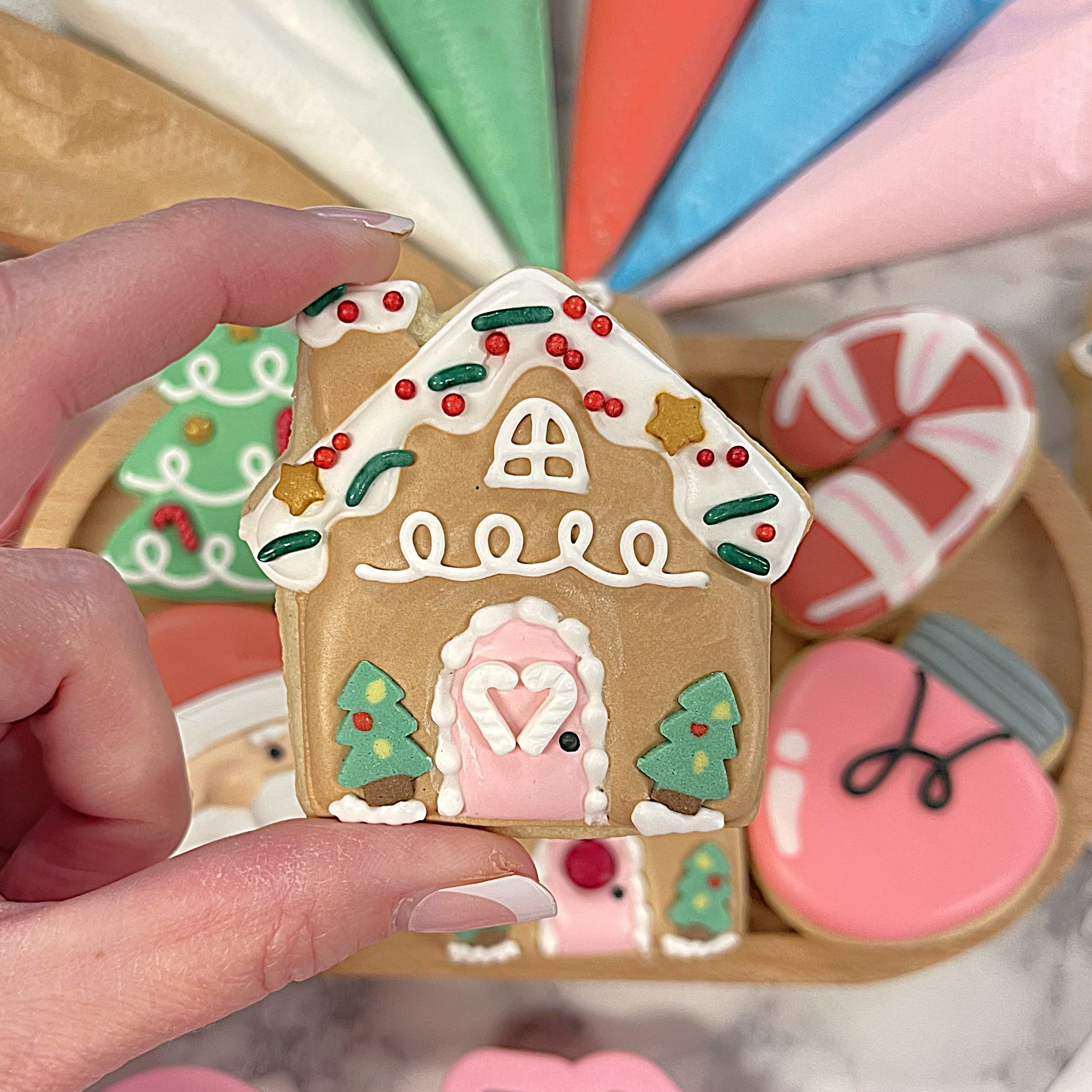 Mini Cute Christmas Cookie Decorating Kit