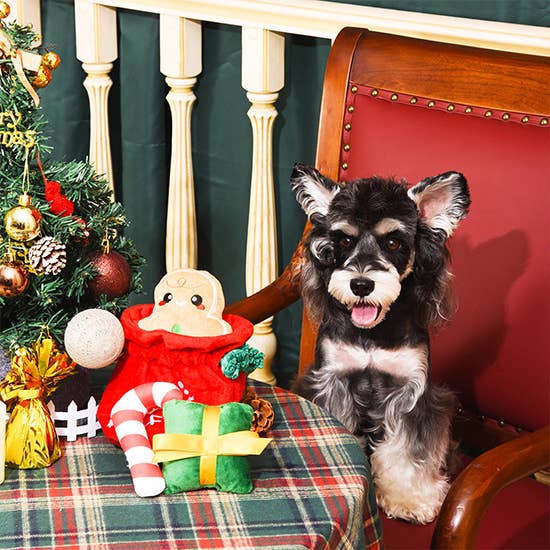 Christmas Gift Bag with Gingerbread Hide and Seek 4pc Dog Toy