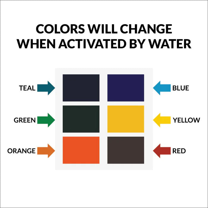 PYO Confetti Paint Palette Cookie Countess (12 palettes) BULK