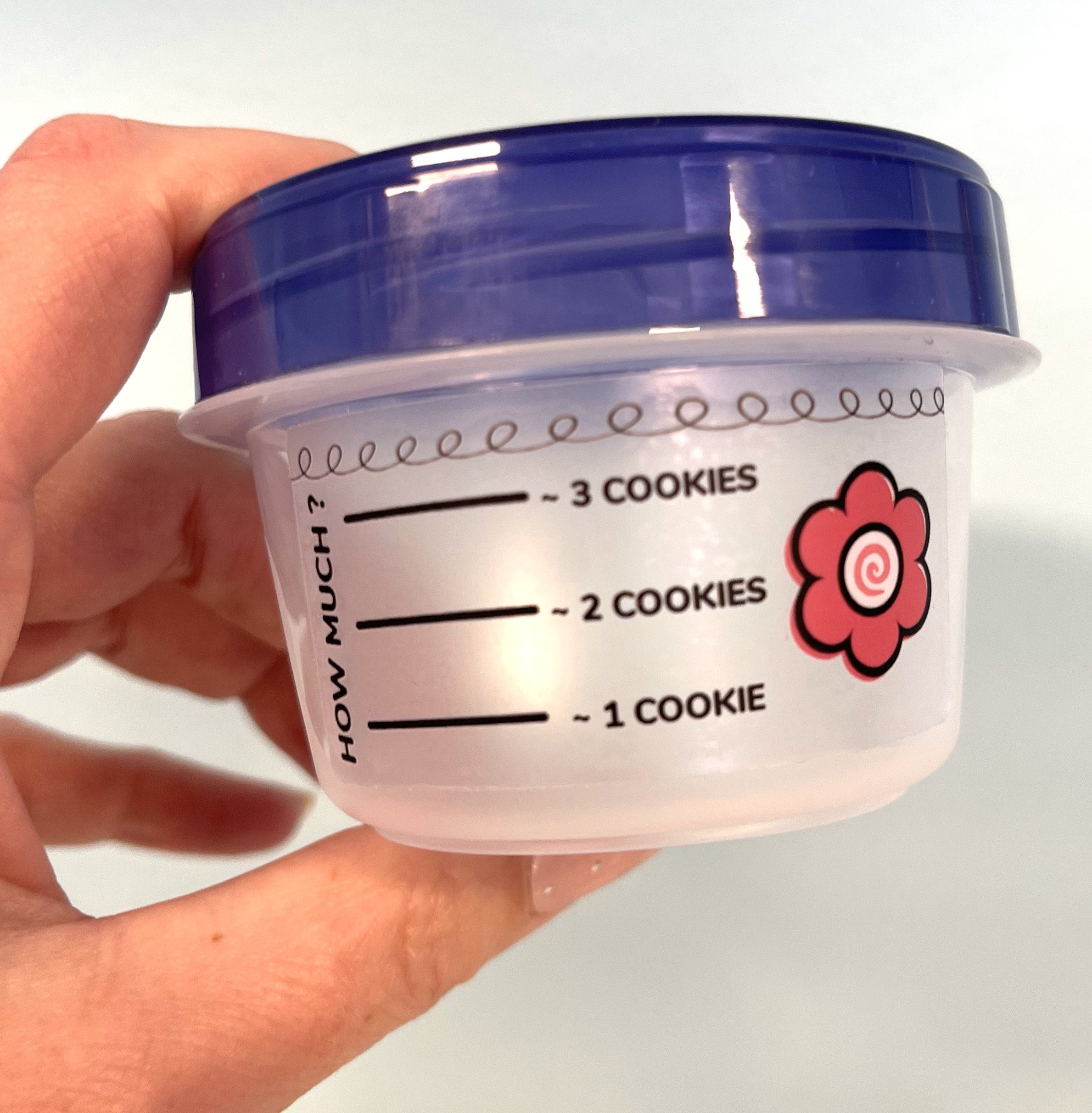 Flour Box SMALL Icing Storage Container Set of 6